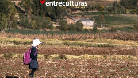 Imagen Educación Fondo de Proyectos de Entreculturas