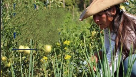 Paraguay foto principal